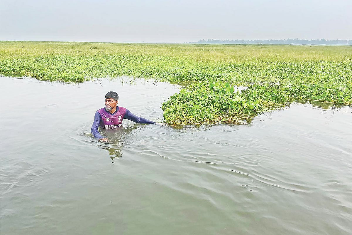 চলনবিলের নাটোর অংশের দুটি স্থানে দেশি মাছ সংরক্ষণে ৩৬ বিঘা আয়তনের দুটি দিঘি খনন করা হয়েছে