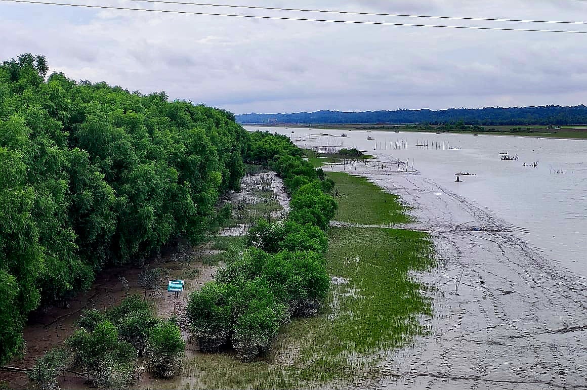 চকরিয়ার বদরখালীর প্যারাবন নিধনের চিত্র