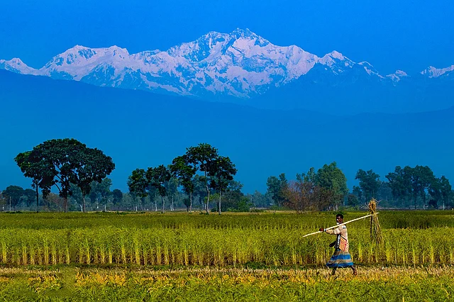 Yalangoch va kambagal fotosurat