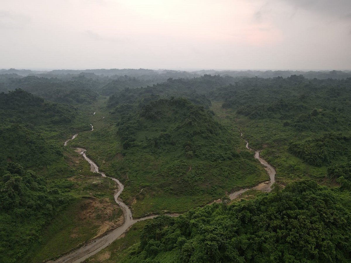 চট্টগ্রামের লোহাগাড়া ও সাতকানিয়ার বড় হাতিয়ার বনের ছড়ার বাঁধ কেটে দখলমুক্ত করা হয়েছে আট মাস আগে। পানি সরে যাওয়ার পর সেই বনে এখন প্রাকৃতিক ঘাস ও নানা গুল্প জন্মেছে। পুরো বনটি এখন সবুজে ঢাকা