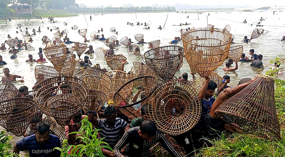 নাটোরের সিংড়ার শহরবাড়ি এলাকায় চলনবিলে পলো দিয়ে মাছ শিকারে ব্যস্ত মাছ শিকারিরা। গাইবান্ধা ও রংপুর থেকে প্রায় দেড় হাজার সৌখিন মাছ শিকারি মাছ শিকারে অংশ নেন