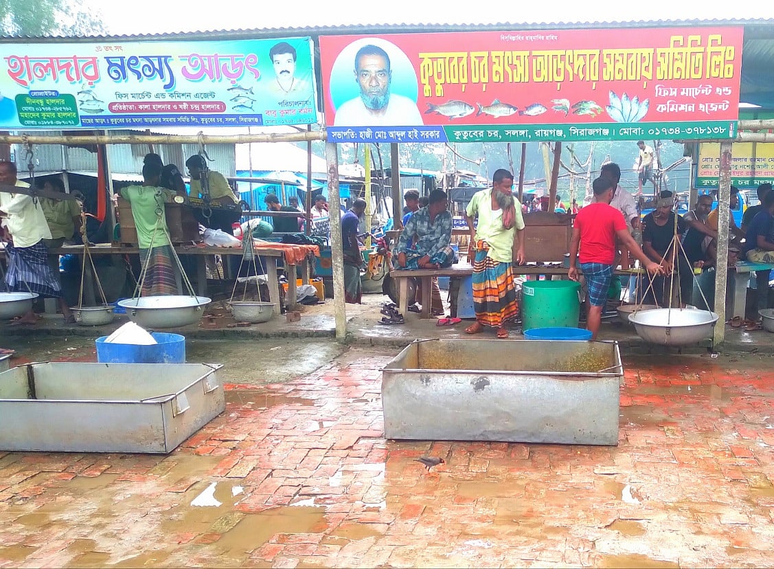 কুতুবের চর মৎস্য আড়ত। সম্প্রতি সিরাজগঞ্জের উল্লাপাড়া ও রায়গঞ্জের সীমান্তবর্তী কুতুবের চর এলাকায়