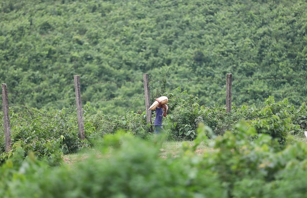 সিলেটের সীমান্তবর্তী শতাধিক স্থান দিয়ে চোরাই পণ্য ঢোকে বাংলাদেশে। সম্প্রতি সিলেটের গোয়াইনঘাট উপজেলার জাফলং সোনাটিলা এলাকায়