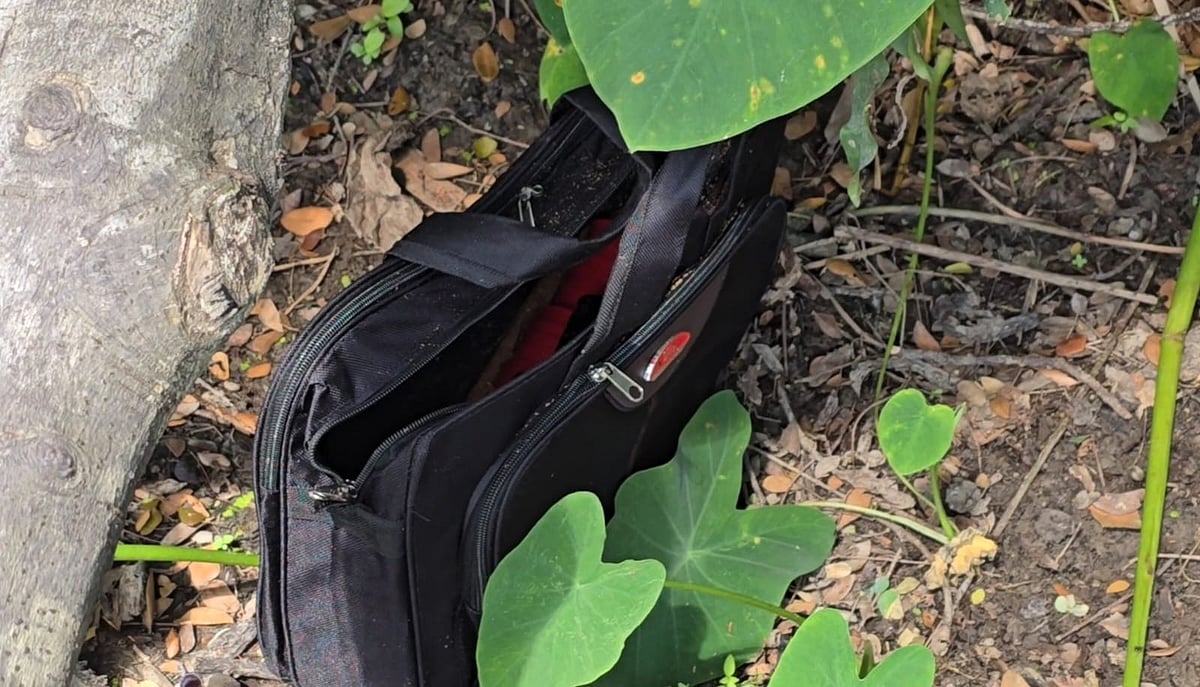 ডামুড্যাতে একটি সড়কের পাশে ১০টি ব্যাগভর্তি বোমাসদৃশ বস্তু পড়ে আছে