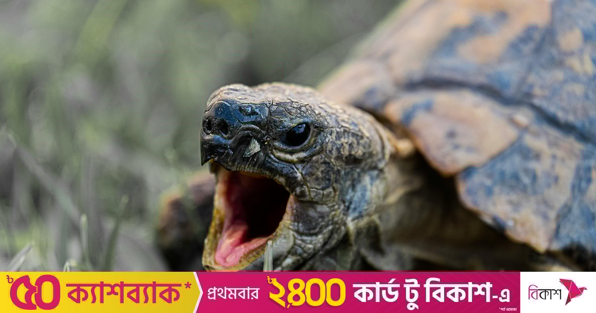 Equestria Qizlar jinsiy aloqa rasmlar Ogizda va eshakda jinsiy aloqa