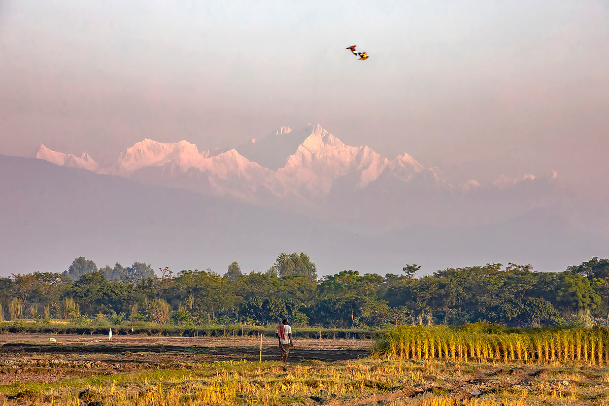 Ozini eshak porno bor