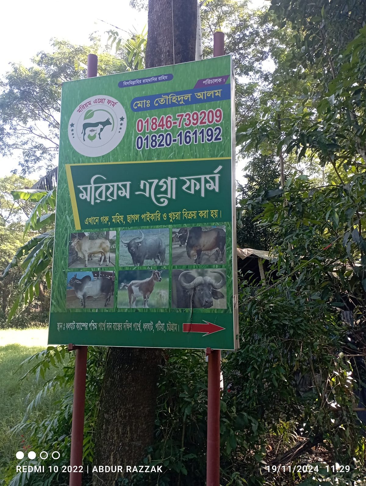 চট্টগ্রামের পটিয়ার মরিয়ম এগ্রো ফার্মের গরু লুটের ঘটনাকে সাজানো বলছে পুলিশ