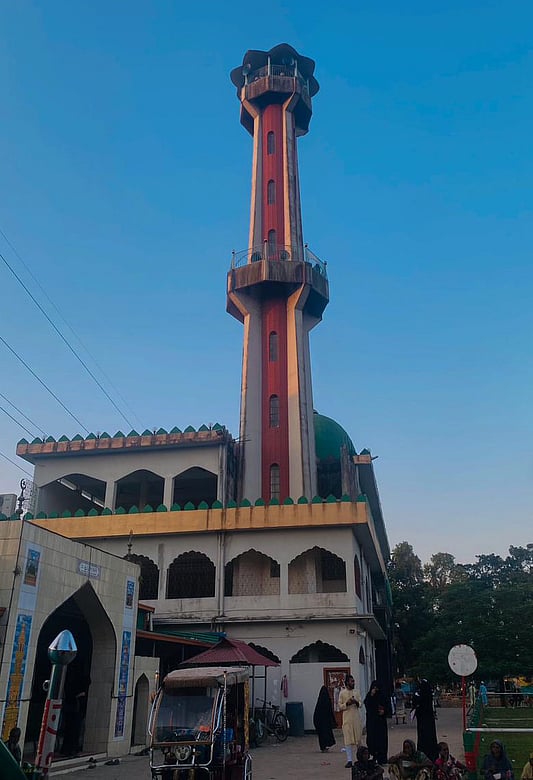 Qora ayol bilan jinsiy aloqa Ayol va erkak mushuklarning fotosuratlari