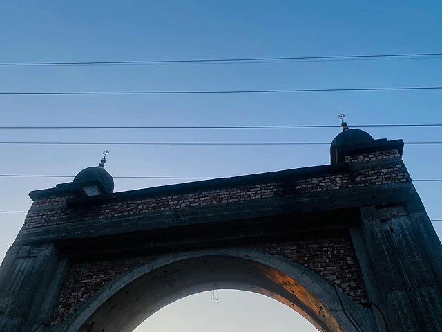 Kokrak va qin turlari