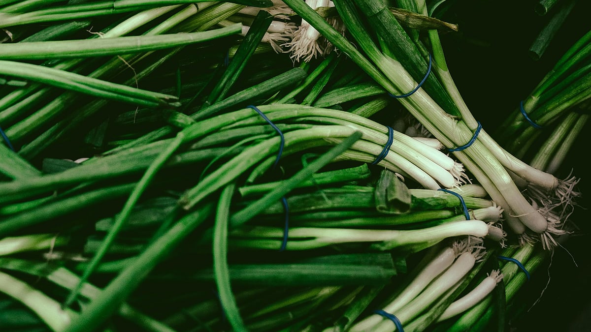 পেঁয়াজের পাতা অনেক ধরনের রান্নার কাজে ব্যবহার করা হয়