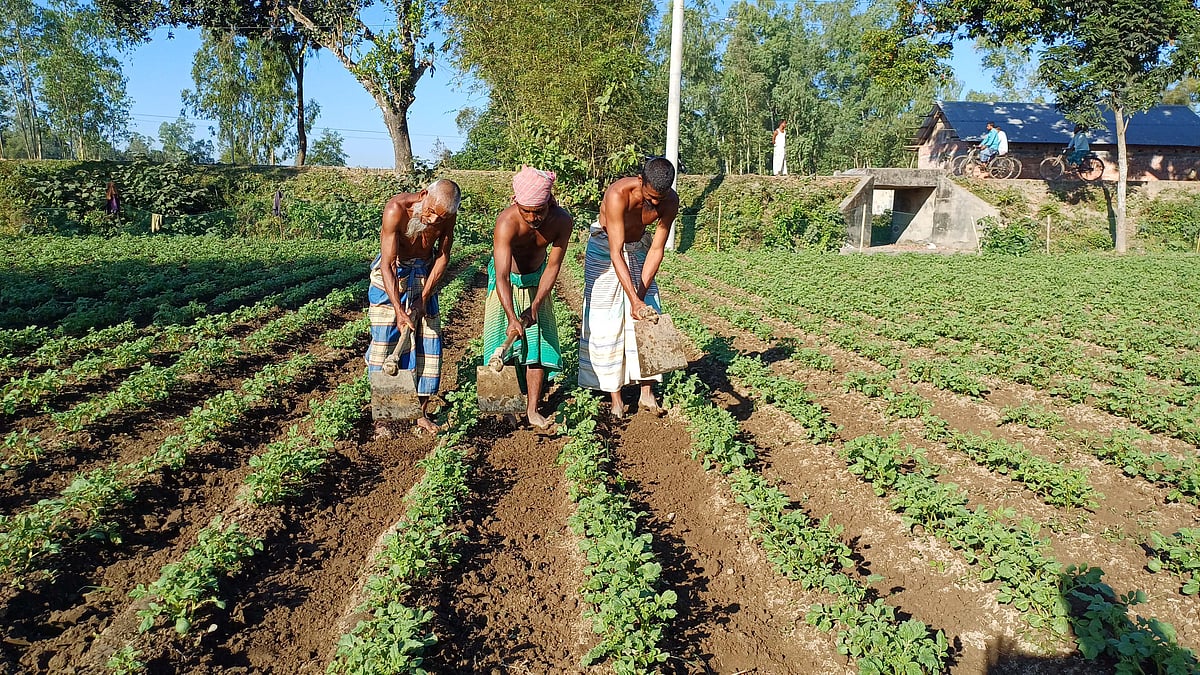 অর্থনীতি