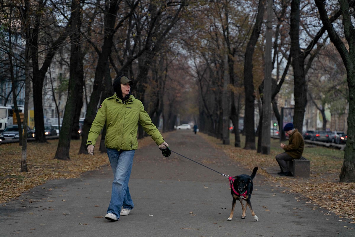 ইউক্রেনের রাজধানী কিয়েভে কুকুর নিয়ে হাঁটছেন এক নারী। ২৮ নভেম্বর ২০২৪