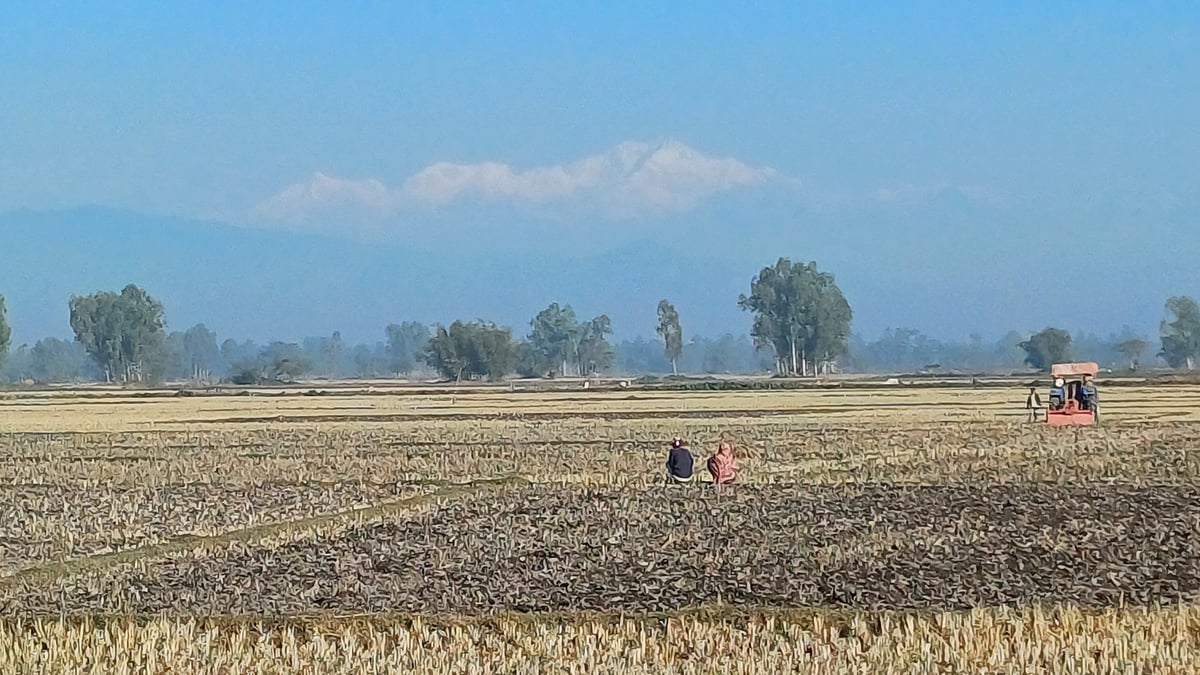 পঞ্চগড়ের বিভিন্ন এলাকা থেকে দেখা মিলছে হিমালয়ের পর্বতশৃঙ্গ কাঞ্চনজঙ্ঘার। ছবিটি শনিবার সকাল সাড়ে আটটায় পঞ্চগড় সদর উপজেলার টিটিহিপাড়া এলাকা থেকে তোলা