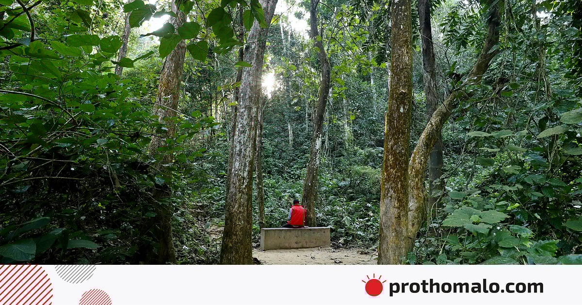 Rus porno parom tarmogi It uslubidagi pozitsiyada jinsiy aloqa