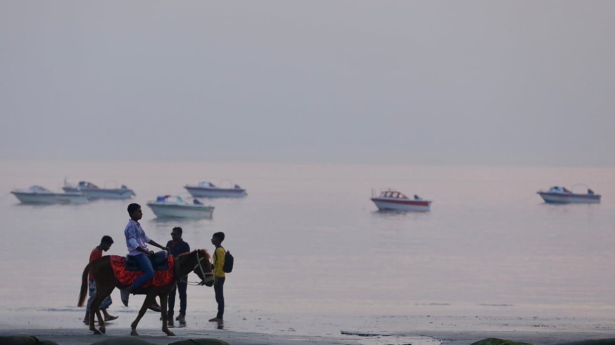 Natasha toshbaqa porno Xorozlar va toplar haqida porno