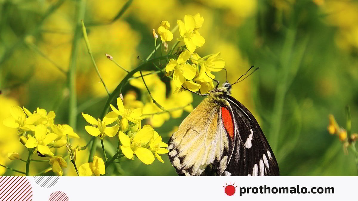 Rostov qizlar porno Yosh gozal jinsiy aloqa