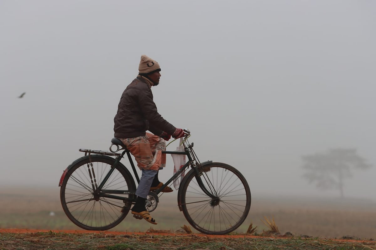 কুয়াশার চাদরে ঢেকে গেছে দেশের বেশির ভাগ এলাকা। চিলারঝার এলাকা, রংপুর শহরতলি