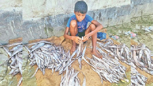 শুঁটকিমহালে কাজ করছে এক শিশু। সম্প্রতি কক্সবাজারের নাজিরারটেকে