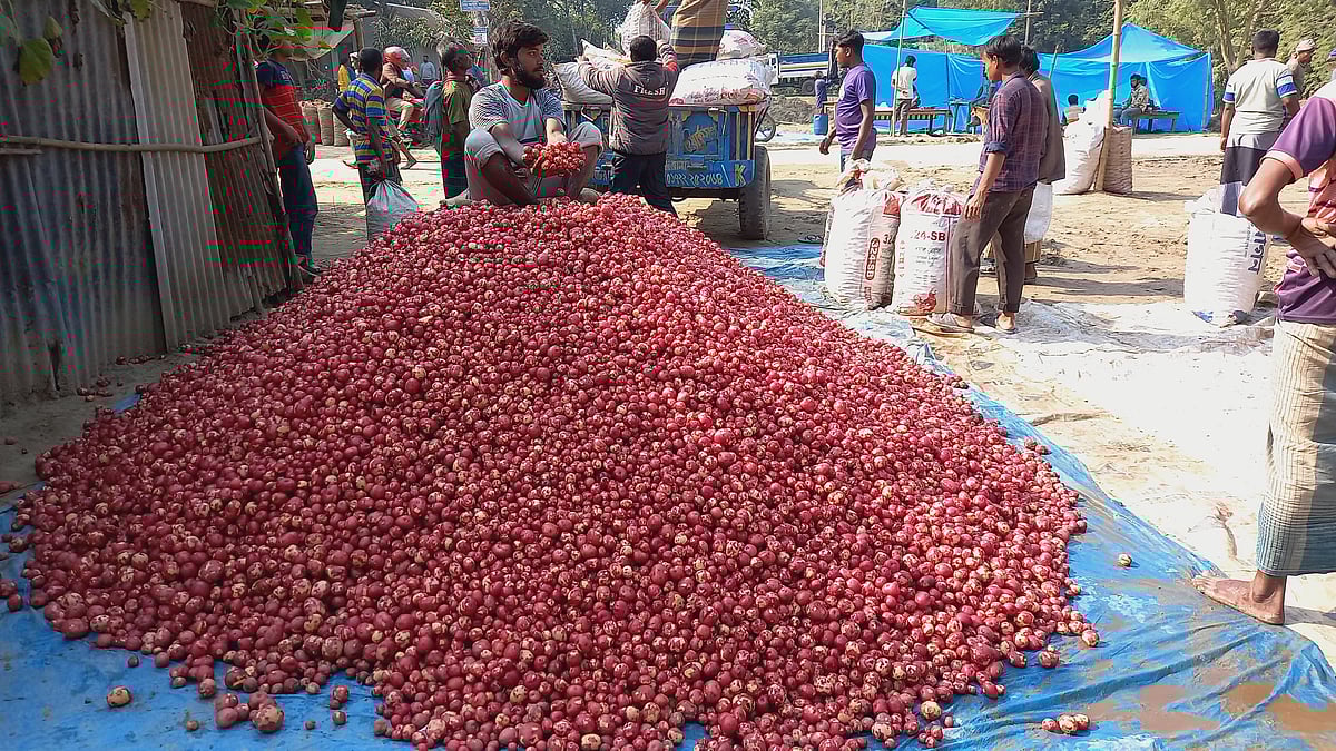 দিনাজপুরের হাকিমপুর উপজেলার মাধবপাড়া গ্রামের তিনমাথা মোড়ে বসেছে আগাম জাতের আলুর অস্থায়ী পাইকারি বাজার। শনিবার দুপুরে