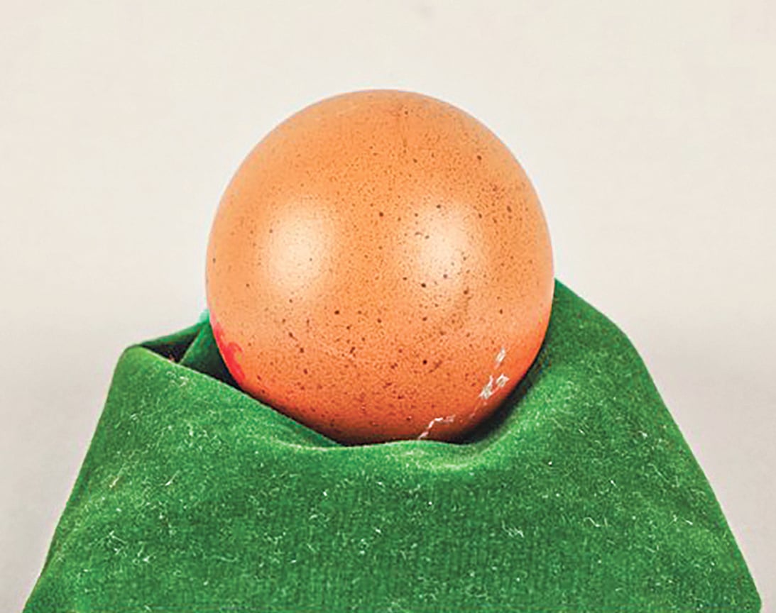 সেই গোলাকার ডিম