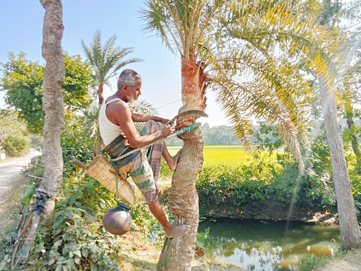 যশোরের বাঘারপাড়া উপজেলার দোহাকুলা গ্রামের হারুন মোল্যা