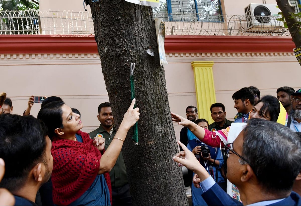 রাজধানীর ধানমন্ডিতে আবাহনী মাঠের দক্ষিণ গেট–সংলগ্ন রাস্তায় গাছের পেরেক অপসারণ কার্যক্রমের উদ্বোধন করেন পরিবেশ উপদেষ্টা সৈয়দা রিজওয়ানা হাসান