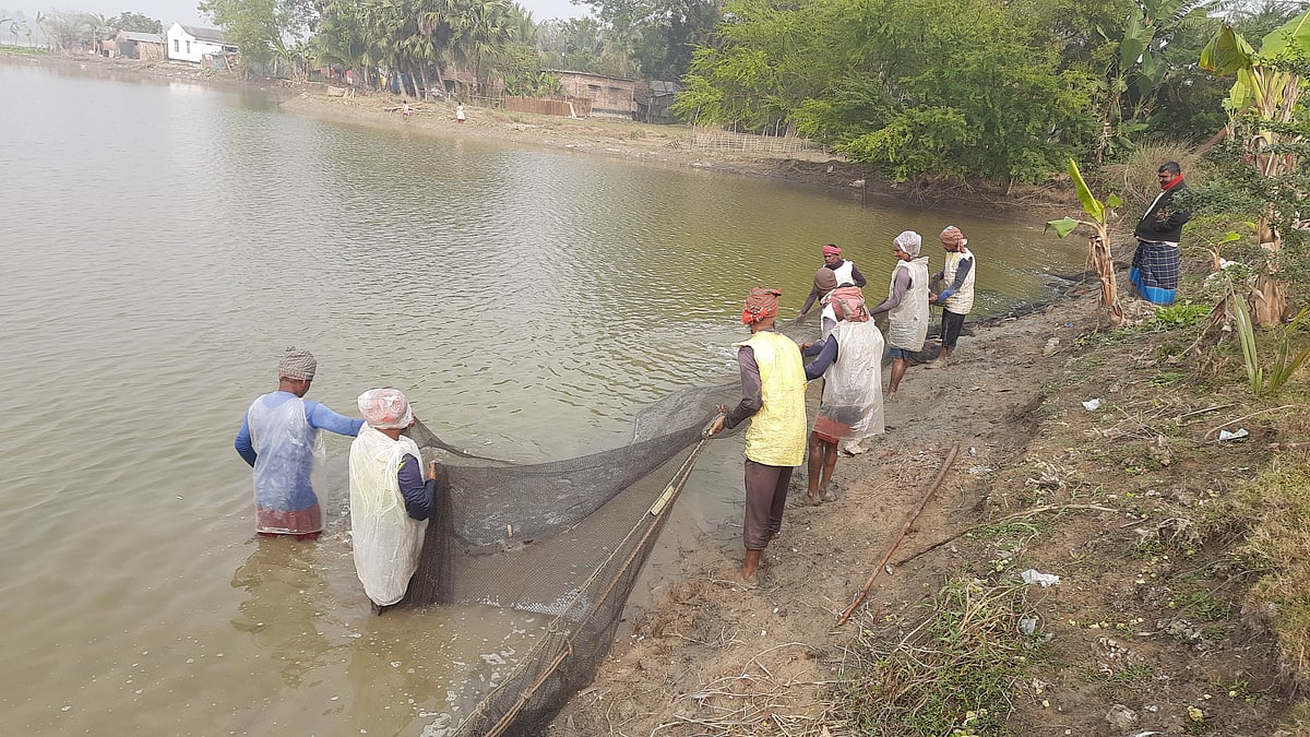 যশোরে কেশবপুরে তীব্র শীত উপেক্ষা করে শীতল পানিতে নেমে মাছ শিকার করছেন একদল মৎস্যশিকারি। গতকাল মধ্যকুল গ্রামে