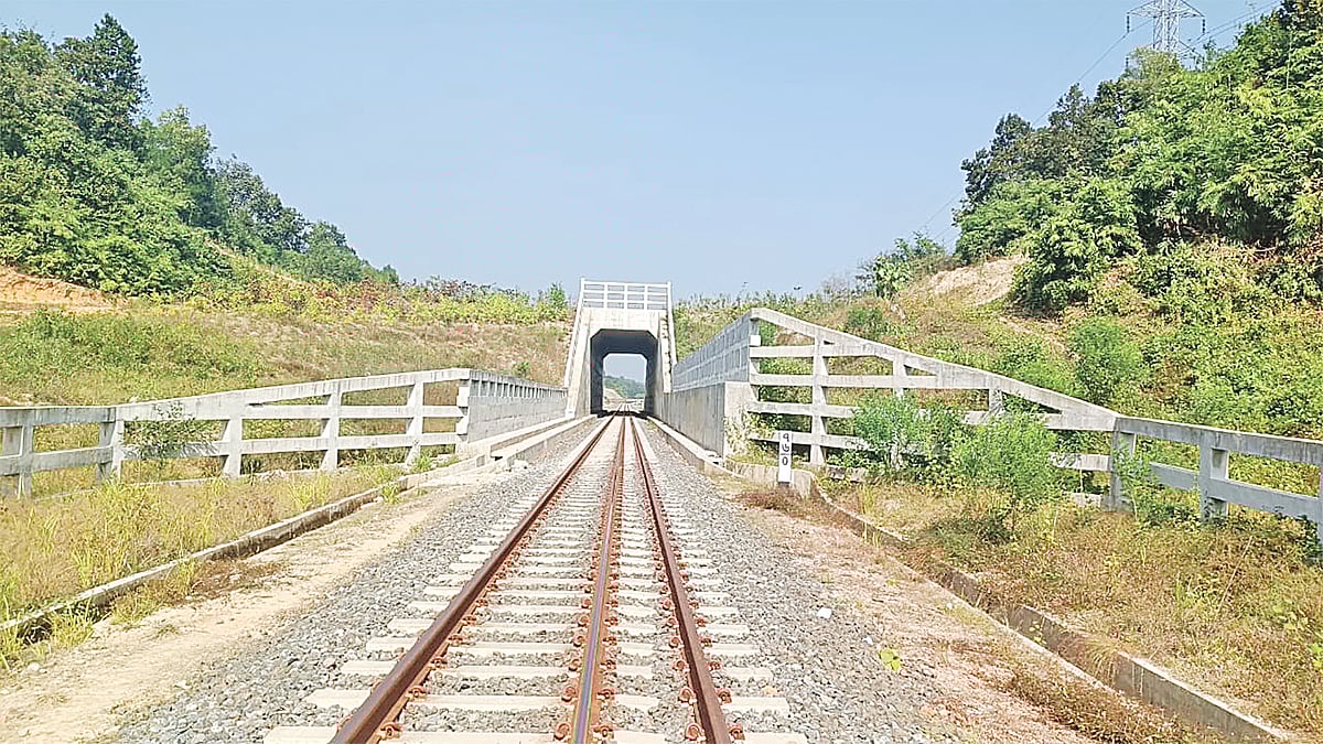 দুটি ওভারপাস নির্মাণের কথা থাকলেও নির্মাণ করা হয়েছে একটি। গত ১১ ডিসেম্বর চুনতি বন্য প্রাণী অভয়ারণ্যের জাঙ্গালিয়া এলাকায়