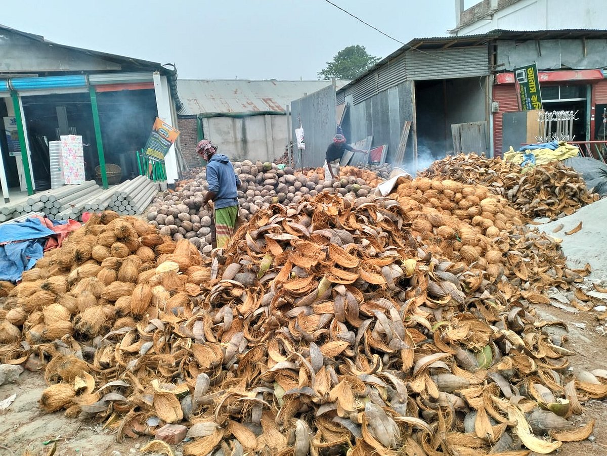 নারিকেল থেকে খুলে স্তূপ করে রাখা হয়েছে ছোবড়া। লক্ষ্মীপুর জেলার সদর উপজেলার দালাল বাজারে। সম্প্রতি তোলা