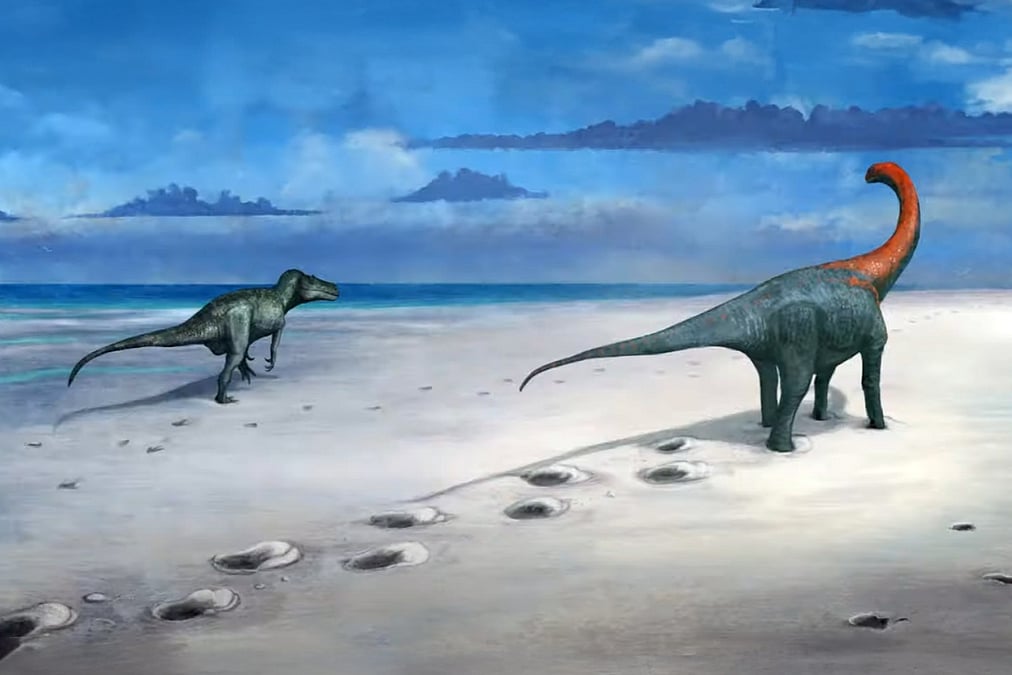 Dunyodagi eng hayajonli fotosuratlar