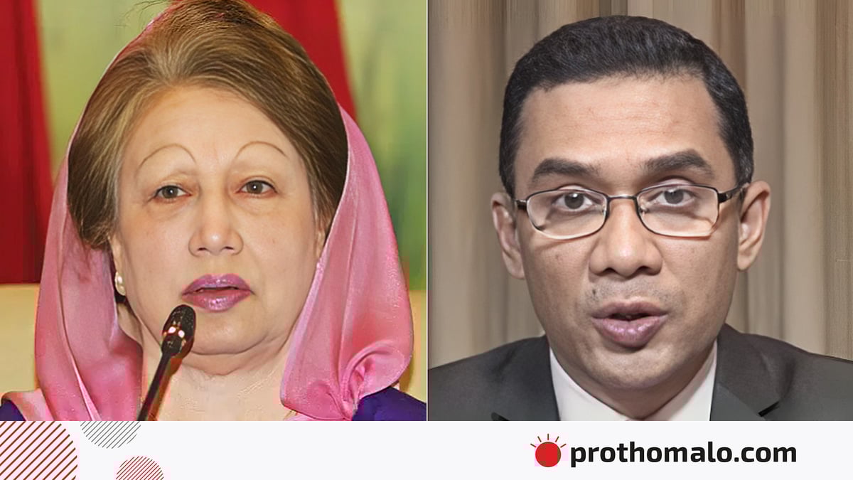 Цискаридзенің жыныстық бағдары қандай? Порно фильмдердегі Драгикс