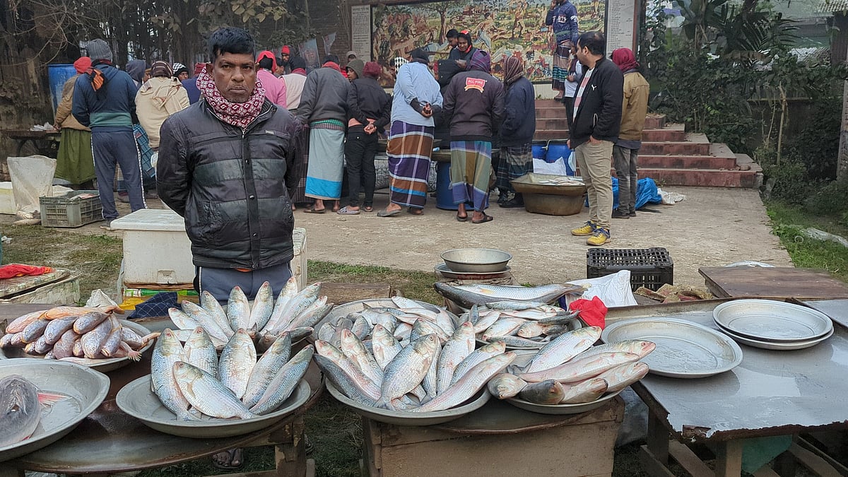শরীয়তপুর সদর উপজেলার মনোহর বাজার এলাকায় জোড় ইলিশের মেলা ক্রেতা-বিক্রেতাদের উপস্থিতিতে মুখর। আজ বুধবার সকালে