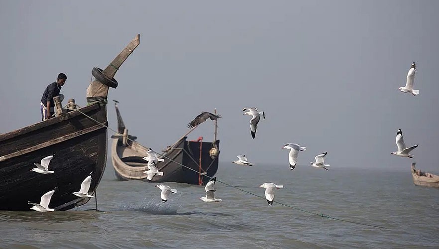 নানা বৈচিত্র্যে ভরপুর কক্সবাজারের কুতুবদিয়া দ্বীপ। এখানকার প্রায় ১৬ কিলোমিটার দীর্ঘ সমুদ্র সৈকতে উড়ে বেড়ায় গাঙচিল।