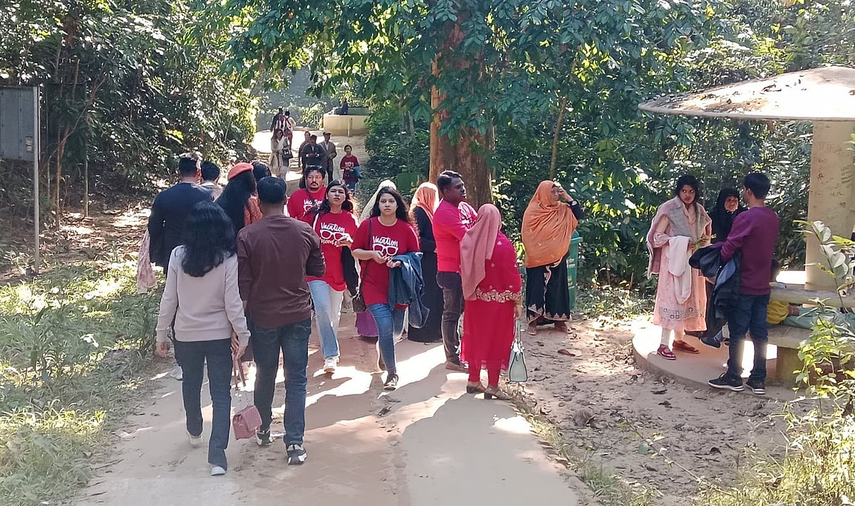 বনের ভেতর পর্যটকদের ভিড়। ১৫ ডিসেম্বর মৌলভীবাজারের লাউয়াছড়া জাতীয় উদ্যানে