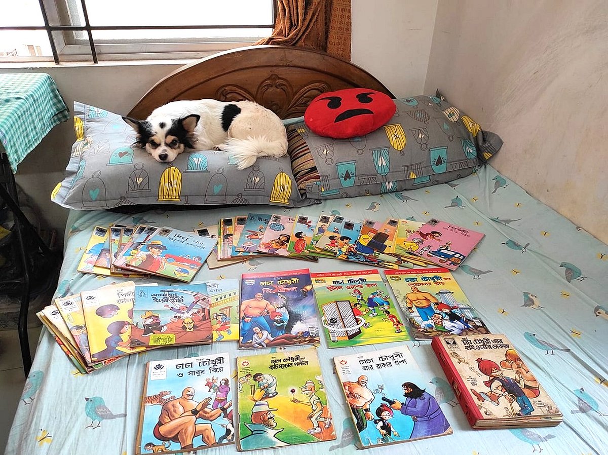 সংগ্রহের কমিকস বইগুলো