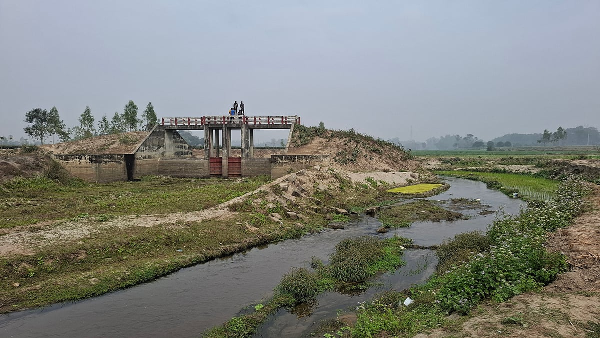 খালের যে অংশে জলকপাটটি দাঁড়িয়ে আছে, সে পাশ শুকিয়ে চৌচির। জলধারা চলে গেছে অন্য পাশ দিয়ে। ঠাকুরগাঁওয়ের বালিয়াডাঙ্গী উপজেলার জাউনিয়া গ্রামে।