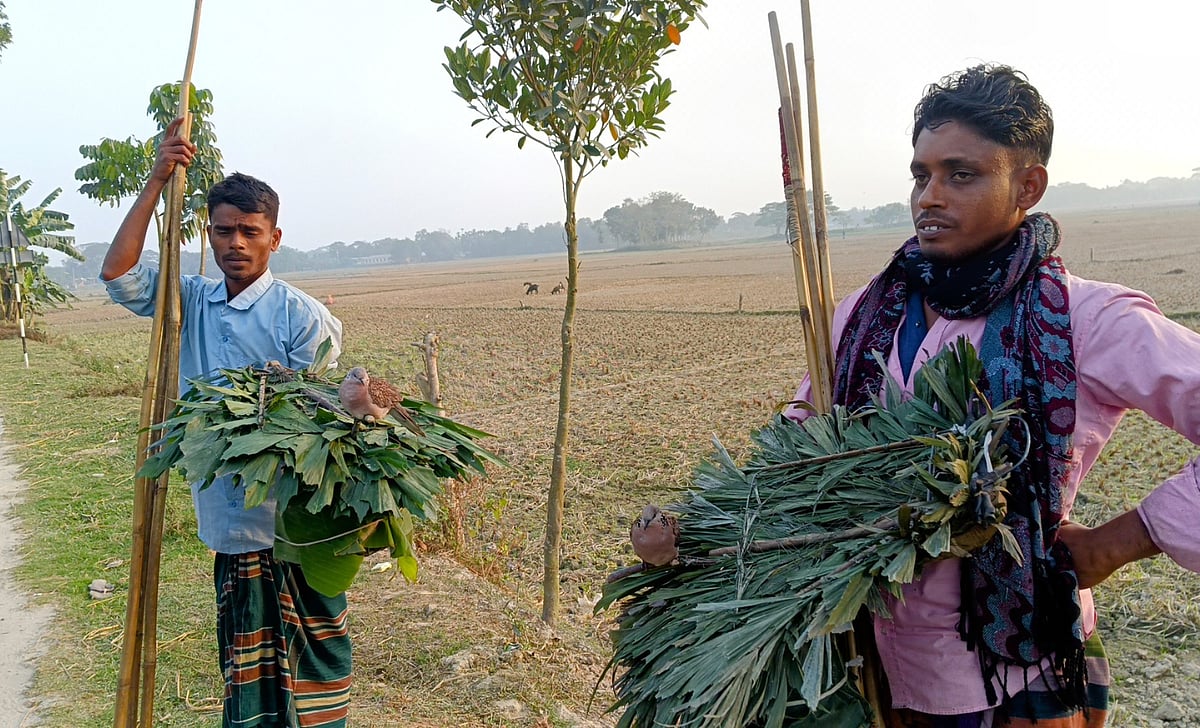 পোষা পাখি দিয়ে পাখি শিকার করেন শিপন মিয়া ও রায়হান উদ্দিন নামের দুজন। সম্প্রতি কিশোরগঞ্জের হোসেনপুর উপজেলার গোবিন্দপুর এলাকায়।