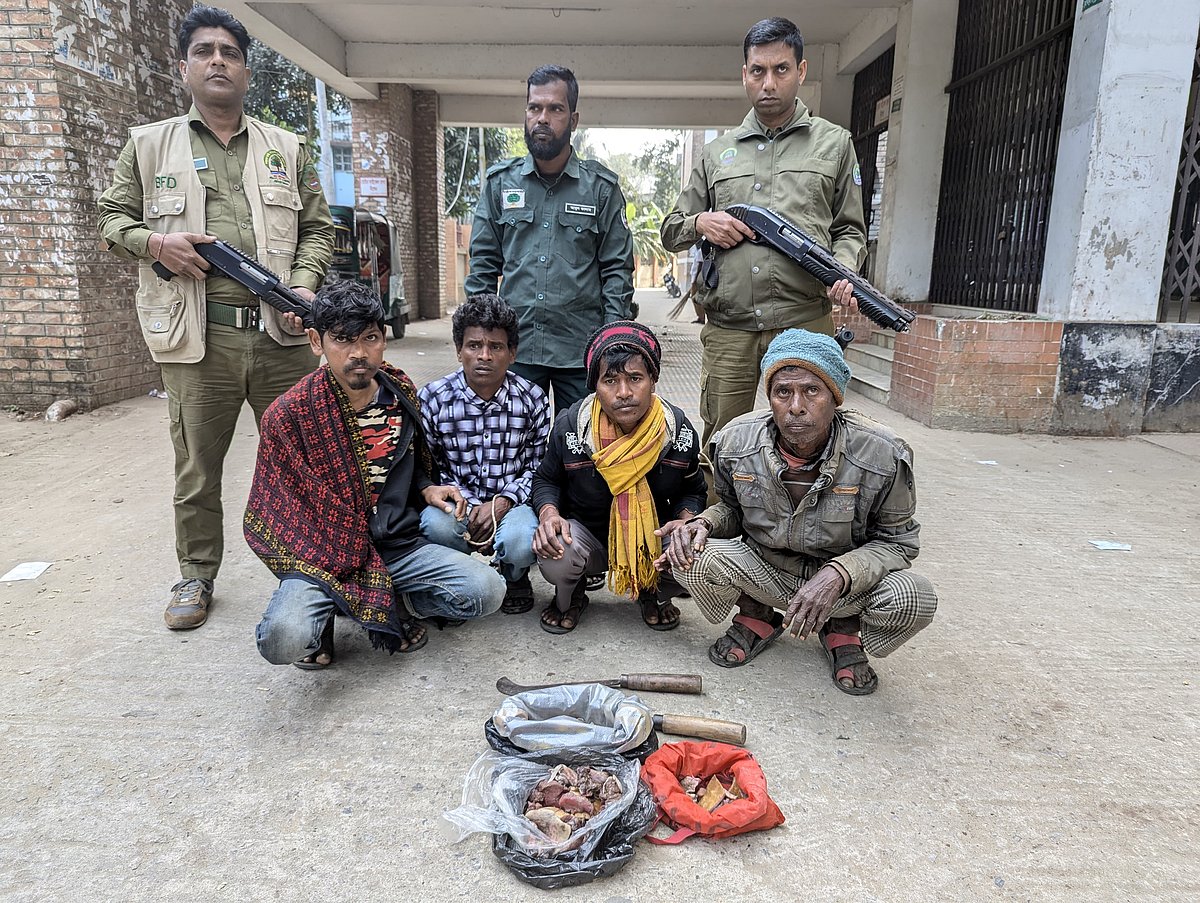 সাতছড়িতে বন্য শূকরের মাংস ভাগ-বাঁটোয়ারা সময় আটক চার ব্যক্তি