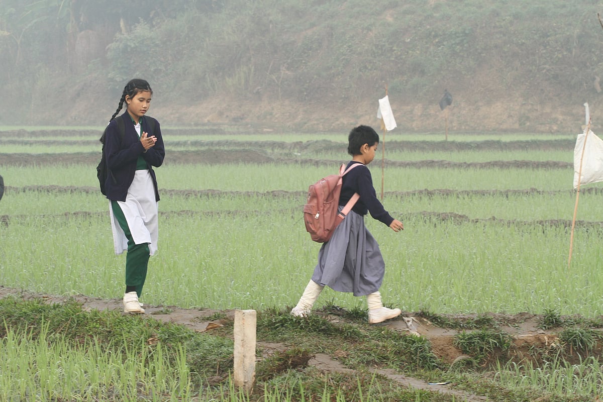 ঠান্ডা আর কুয়াশা বেড়েছে ।কুয়াশায় ভেজা জমির আইল ধরে দুই শিশু স্কুলে যাচ্ছে।  রাঙামাটির শিমুজ্জেছড়া এলাকায় আজ শনিবার সকালে তোলা
