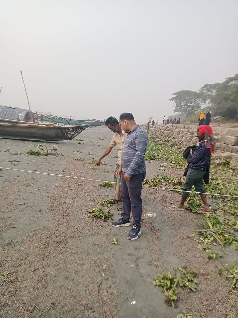 মেঘনা নদীর তীরে ভেসে আসছে বিপুল পরিমাণ মরা মাছ ও জলজ প্রাণী। সম্প্রতি তোলা