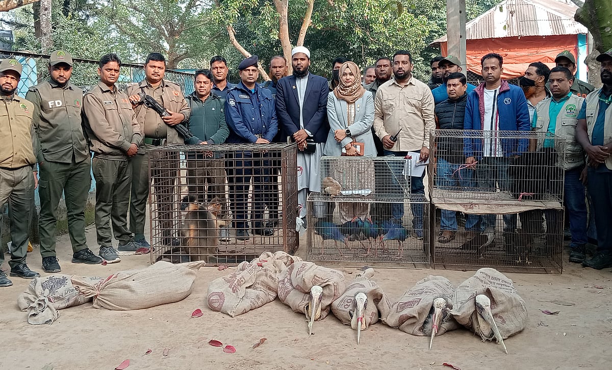 দিনাজপুরের নবাবগঞ্জ উপজেলার স্বপ্নপুরী বিনোদনকেন্দ্র ও মিনি চিড়িয়াখানা থেকে বন অধিদপ্তরের জব্দ করা প্রাণী