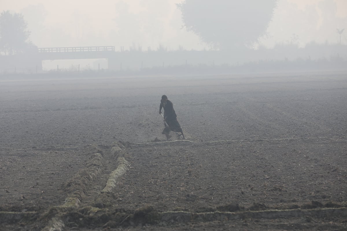 কুয়াশাচ্ছন্ন শীতের সকাল। ছবিটি বগুড়ার গাবতলী উপজেলার কেশবেরপাড়া গ্রামের