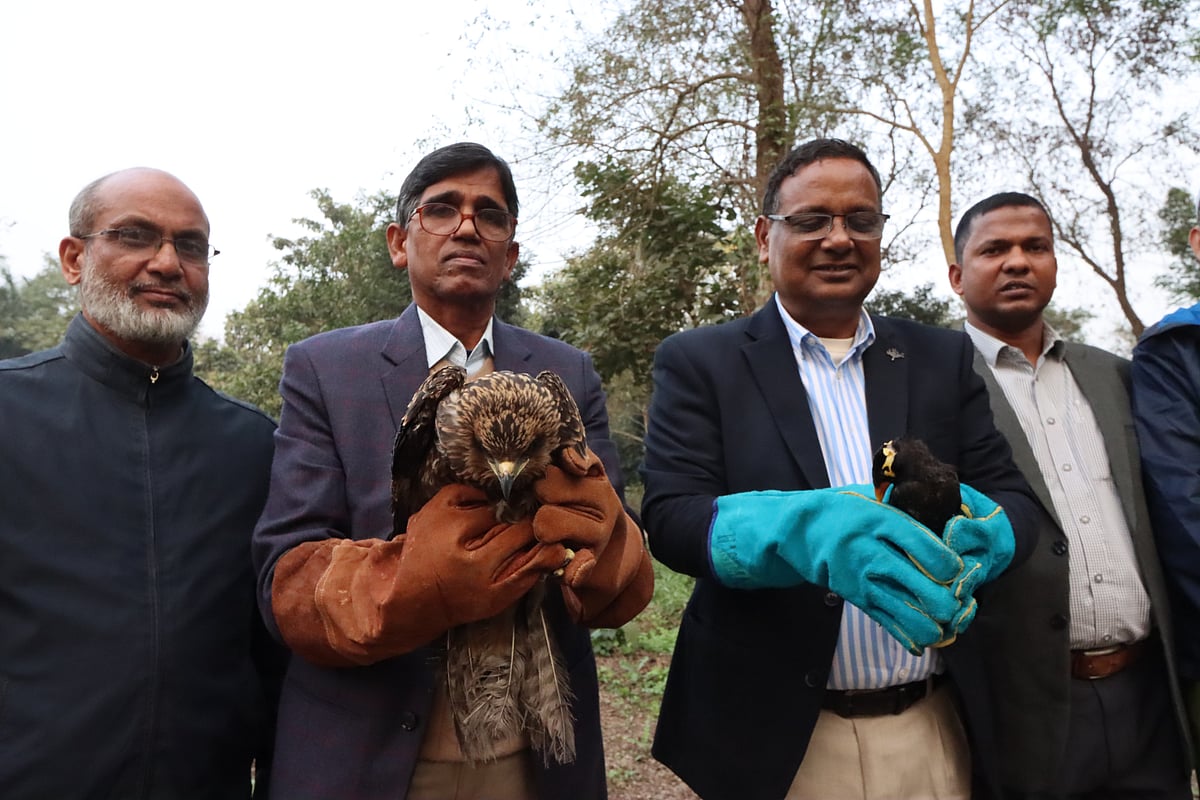 নাটোর থেকে উদ্ধার করা ময়না পাখি ও রাজশাহী থেকে উদ্ধার করা একটি ভুবন চিল প্রকৃতিতে অবমুক্ত করা হয়। আজ সোমবার বিকেলে রাজশাহী বিশ্ববিদ্যালয়ের উদ্ভিদ উদ্যানে