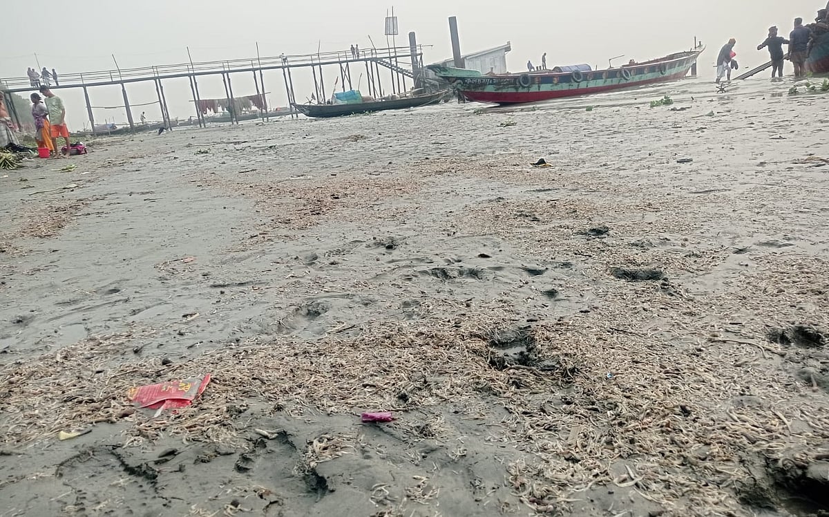 ভাটার টানে মেঘনার তীরে ভেসে উঠেছে মরা মাছসহ নানা জলজ প্রাণী। সোমবার দুপুরে চাঁদপুরের মতলব উত্তর উপজেলার শিকিরচর এলাকায়