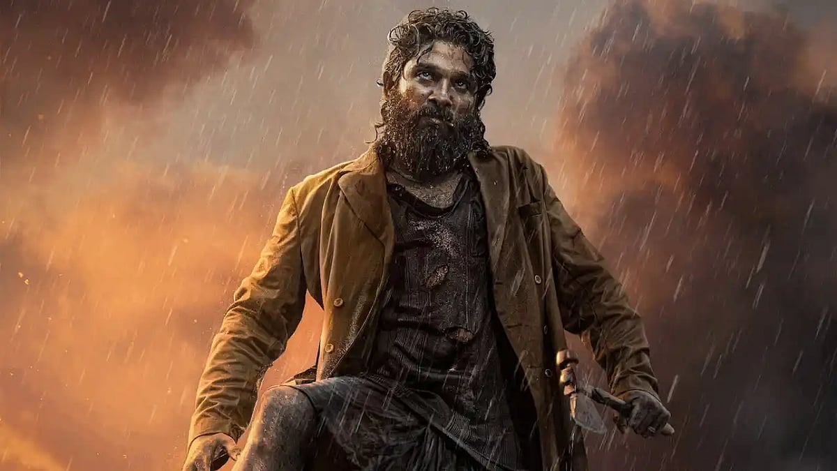 ‘পুষ্পা ২’–এর দৃশ্য। আইএমডিবি