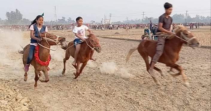 ধামইরহাট উপজেলার ফার্শিপাড়া এলাকায় অনুষ্ঠিত ঐতিহ্যবাহী ঘোড়দৌড় প্রতিযোগিতায় অংশ নেয় ঘোড়সওয়ার হালিমা। গত বুধবার বিকেলে তোলা