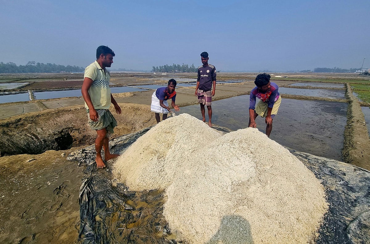 মাঠে উৎপাদিত লবণ গর্তে মজুত করার প্রস্তুতি চলছে। গত শুক্রবার বিকেলে কক্সবাজারের কুতুবদিয়ার হাজীপাড়ায়
