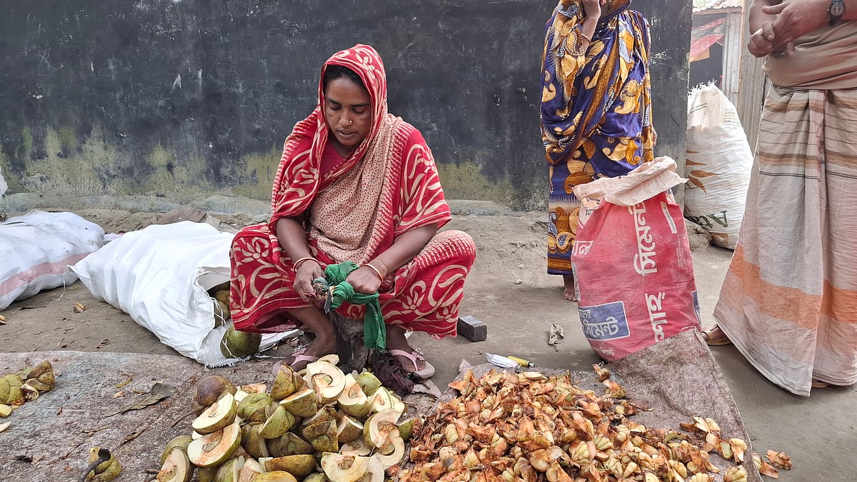 আচারের জন্য চালতা কাটছেন পাবনার ভাঙ্গুড়া উপজেলার হালদারপাড়ার আবদুল মমিনের স্ত্রী লাভলী বেগম। এ থেকে যে আয় হয়, তা দিয়ে ছয় মাস সংসার চলে তাঁদের