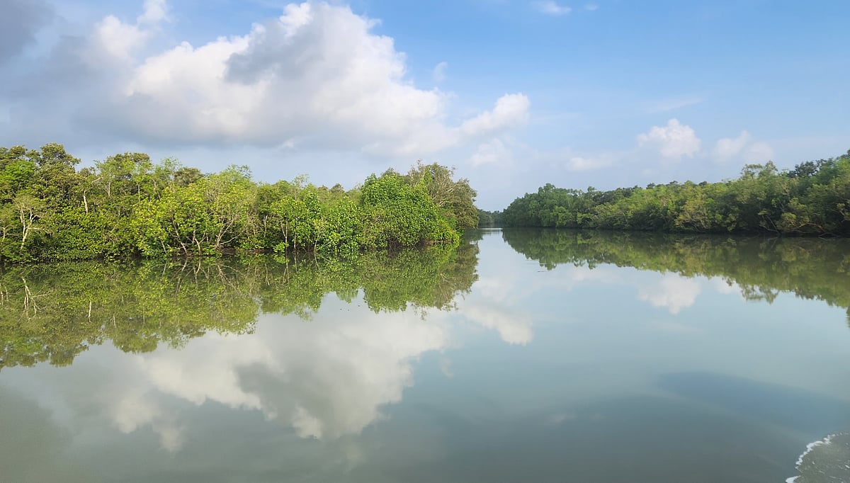 সুন্দরবন