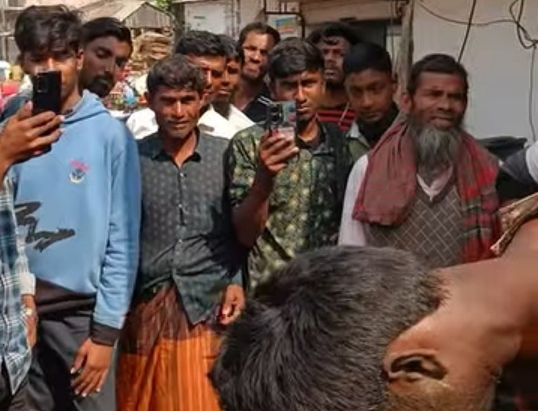 অটোভ্যান চুরির অভিযোগে খুঁটির সঙ্গে বেঁধে তরুণকে পিটুনি দেওয়া হয়েছে। সেই দৃশ্য মুঠোফোনে ধারণ করেন উৎসুক লোকজন। রোববার দুপুরে রাজশাহীর বাগমারা উপজেলার ভবানীগঞ্জ বাজারে